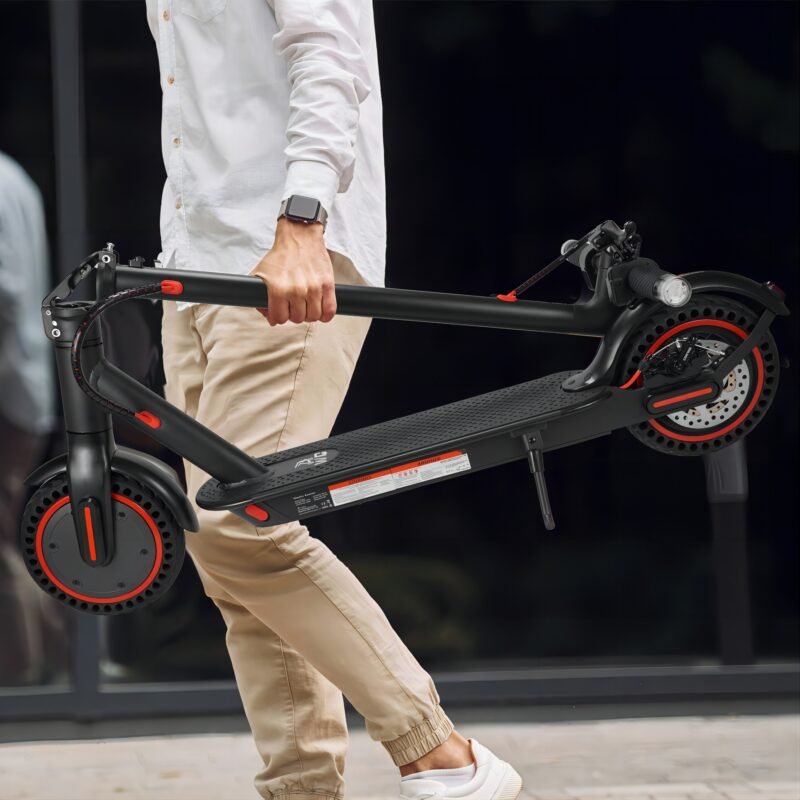 electric folded scooter