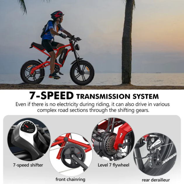 VTT électrique Hidoes B6 20 Pouces - Fat Bike 48V 15.6Ah 250W - Neuf