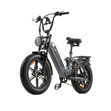 Electric fat tire bike
